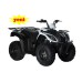 ATV ARORA AR 200-30T3